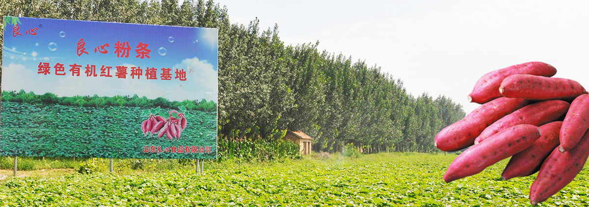 良心食品.jpg 良心食品